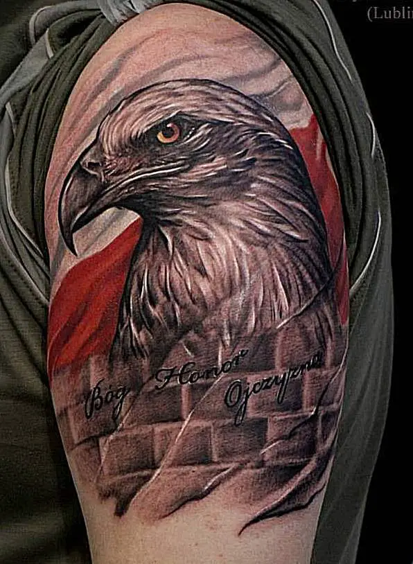 Pin Polish Eagle Tattoo Picture To Pinterest  Tattoos Polish eagle tattoo  Tattoos with meaning